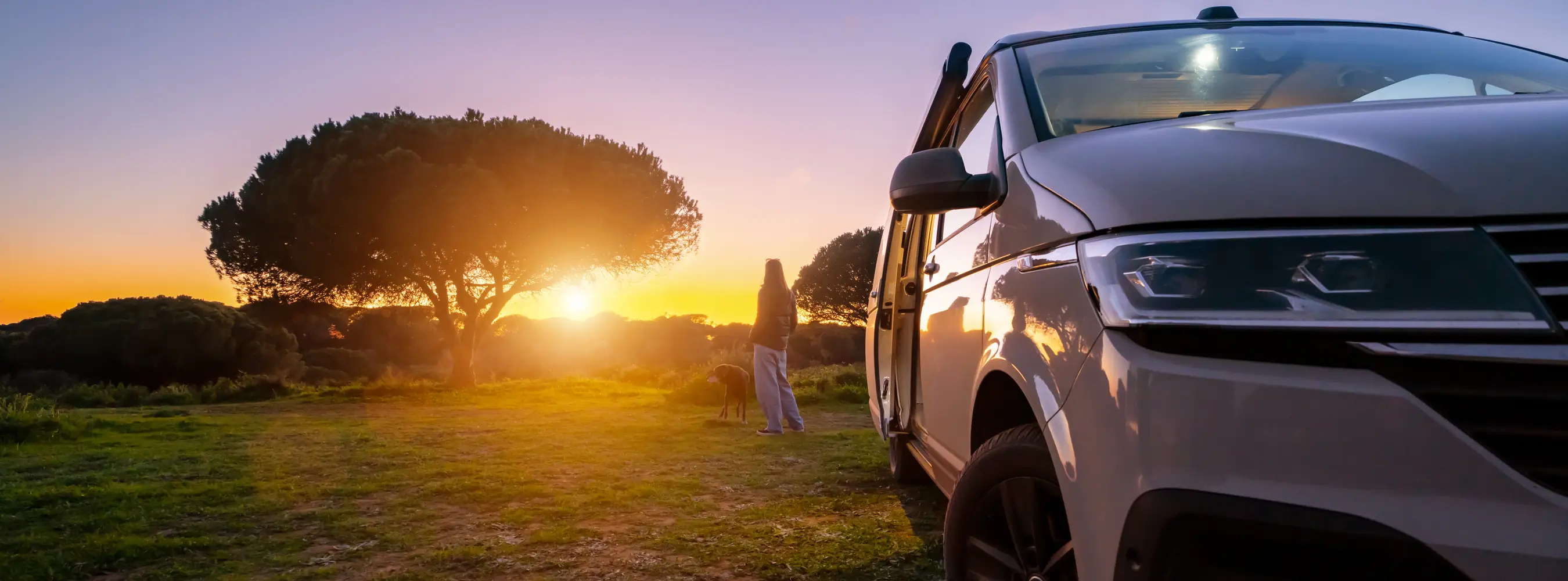 White passenger van parked by a lone tree at sunset