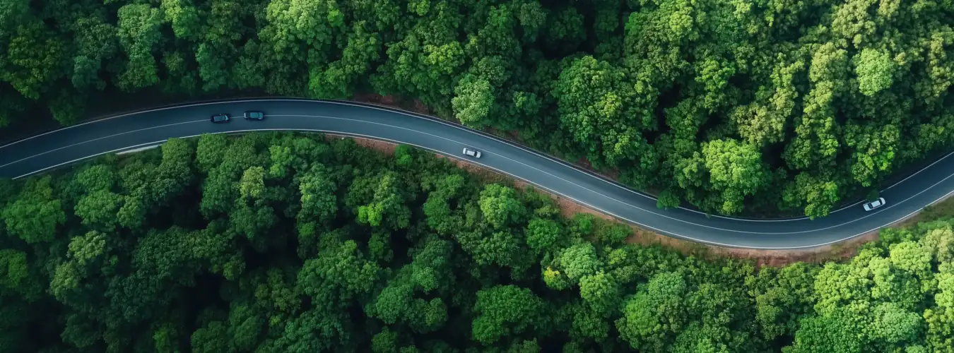 Aerial view of cars on a winding road through green forest